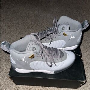 Men’s Jordan Jumpman Pro~Cool Grey/White-Wolf Grey~906876-034 size 9.5